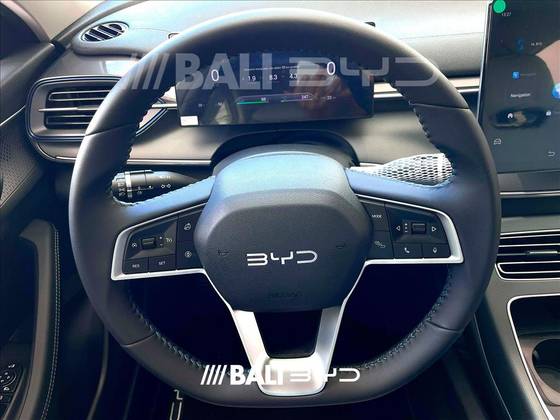 BYD KING 2025
