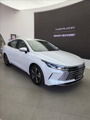 BYD KING 2025