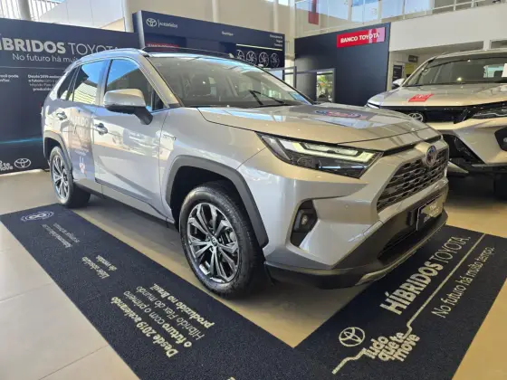 TOYOTA RAV4 2024