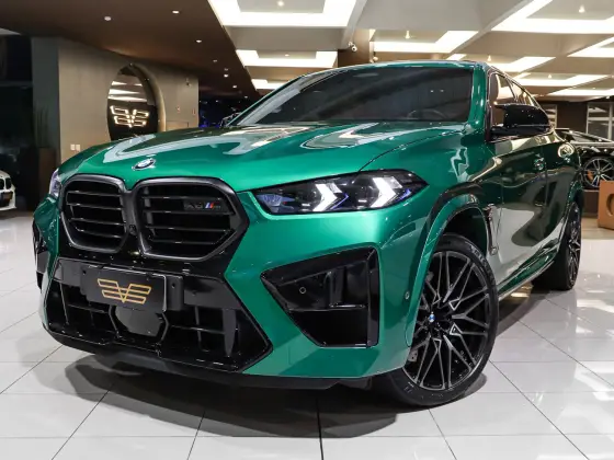 BMW X6 2024