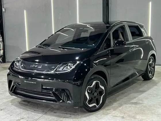 BYD DOLPHIN 2024