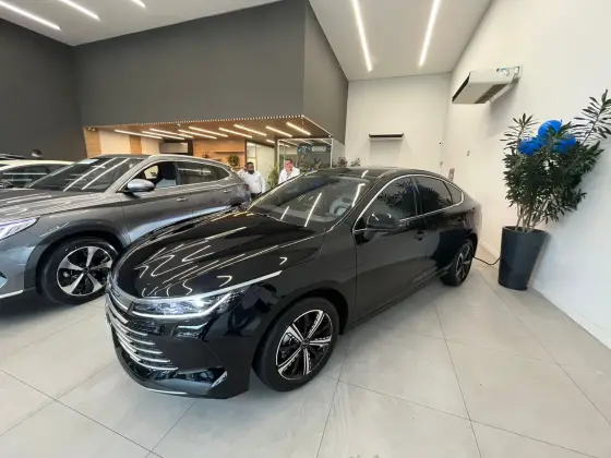 BYD KING 2025