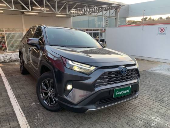 TOYOTA RAV4 2024