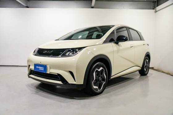 BYD DOLPHIN 2024