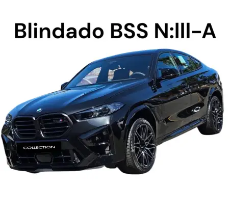 BMW X6 2025