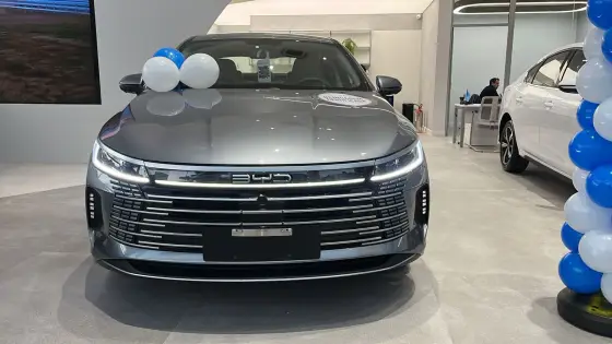 BYD KING 2025