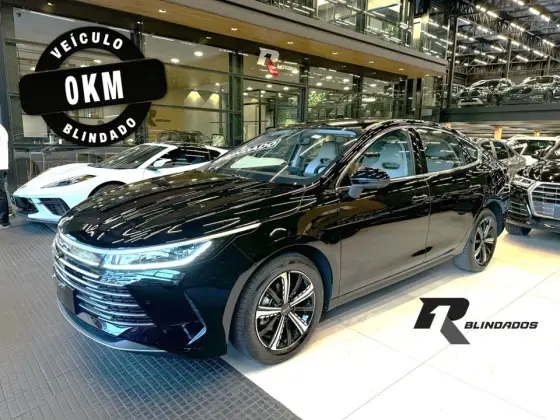 BYD KING 2025