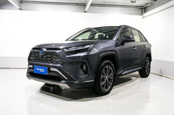 TOYOTA RAV4 2024
